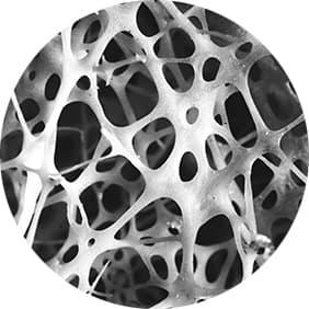 Hydroxyapatite
